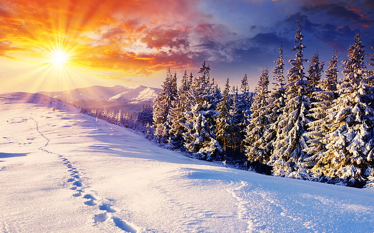 sunset-mountains-clouds-landscapes-nature-winter-snow-trees-skylines-hills-sunlight-footprint-256-nature-winter-hd-art-wallpaper-preview.jpg