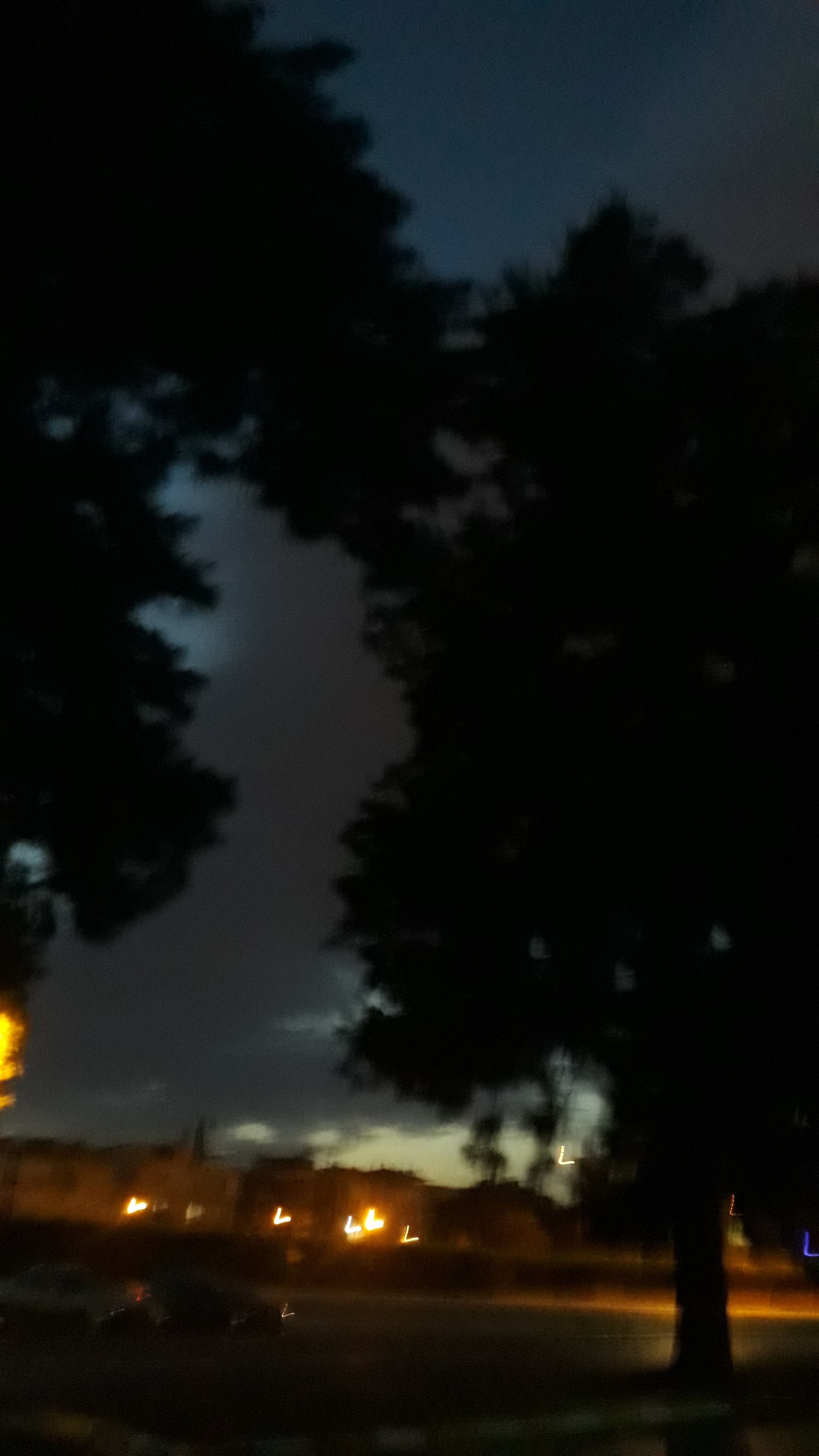 TURNA.jpg