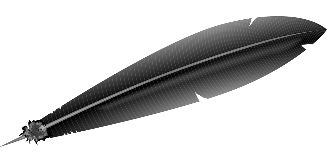 feather-g5f585ce04_1280.png