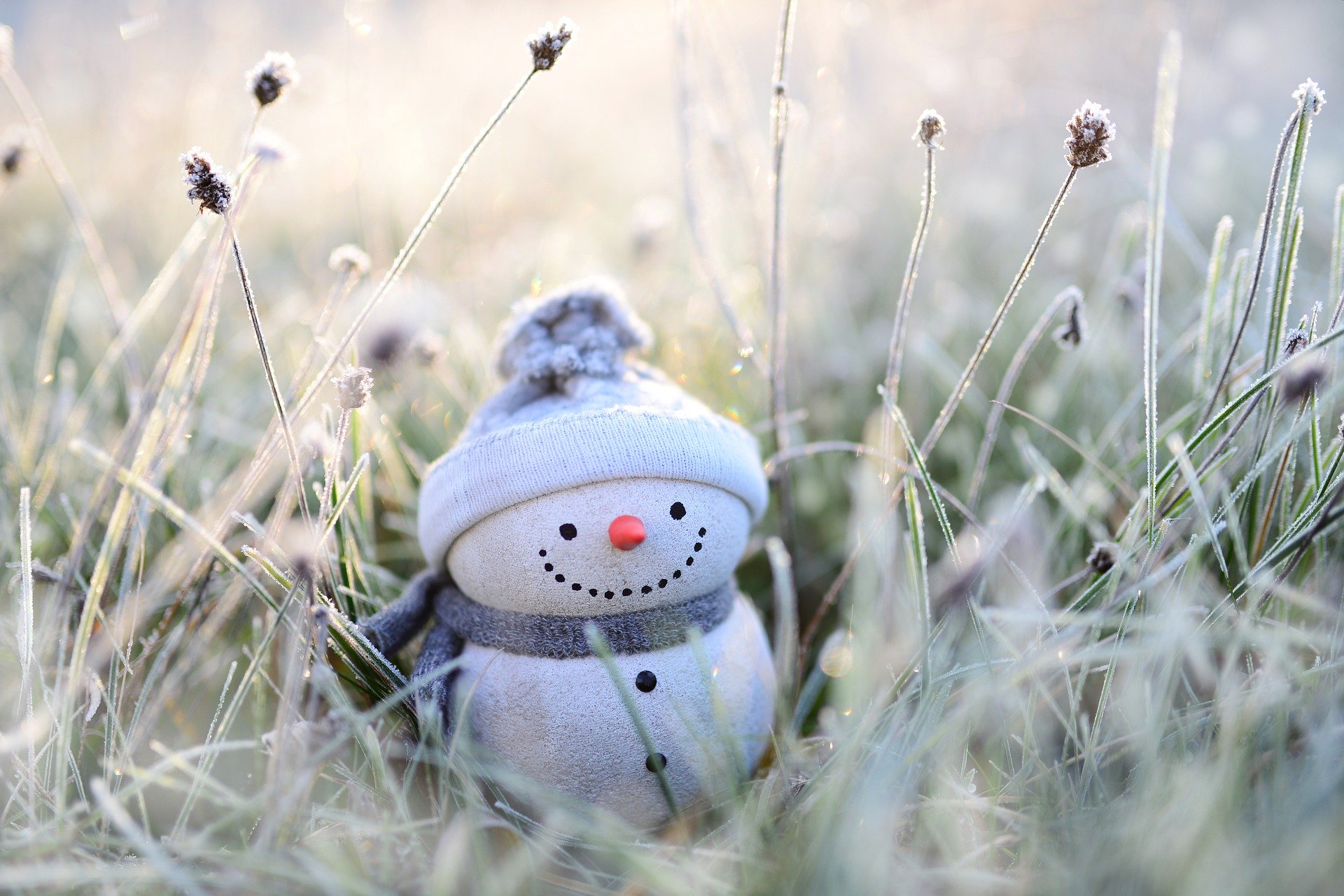 snowman-4674856_1920.jpg